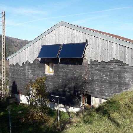 Maison Chaleureuse Et Ecologique Villa Coyriere Dış mekan fotoğraf