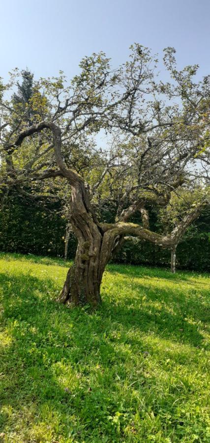 Maison Chaleureuse Et Ecologique Villa Coyriere Dış mekan fotoğraf